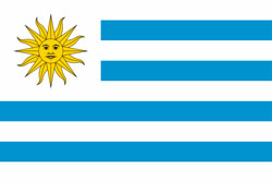 Flag
